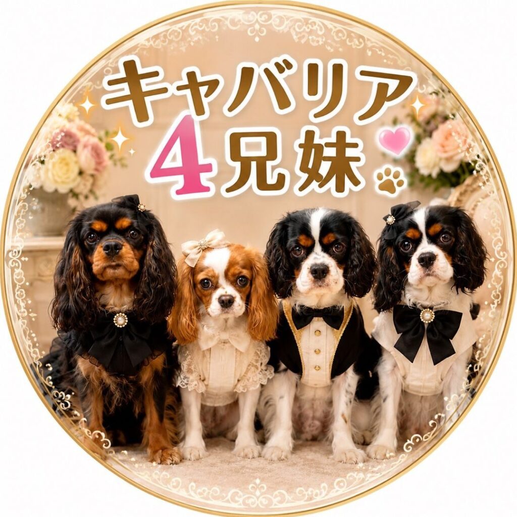 キャバリア4兄妹